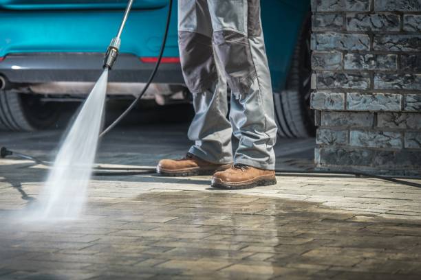 Best Winterizing Services  in Newport News, VA
