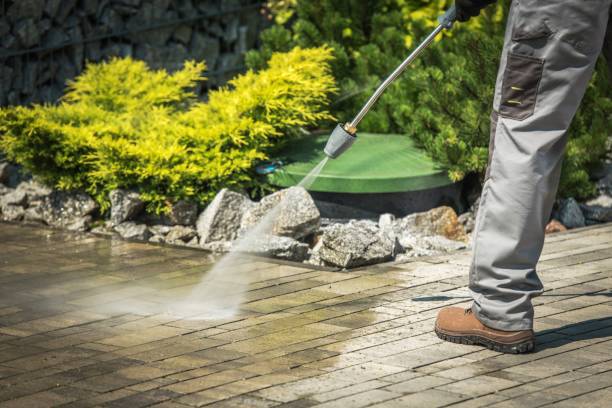 Best Driveway Pressure Washing  in Newport News, VA