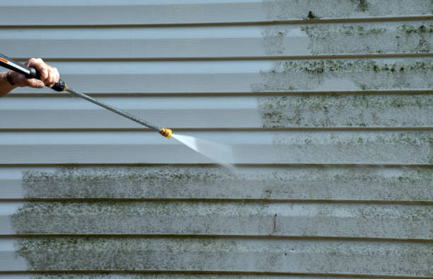 Best Spring Cleaning  in Newport News, VA