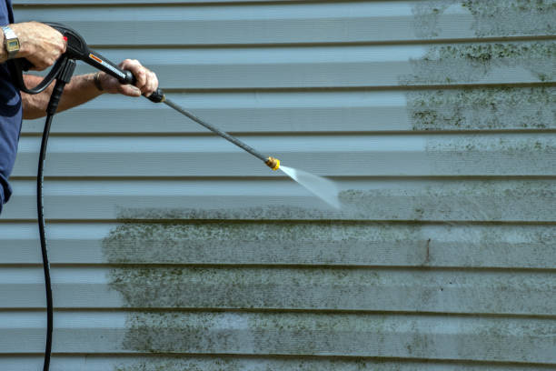 Best Rust Removal  in Newport News, VA